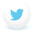 Twitter-Icon